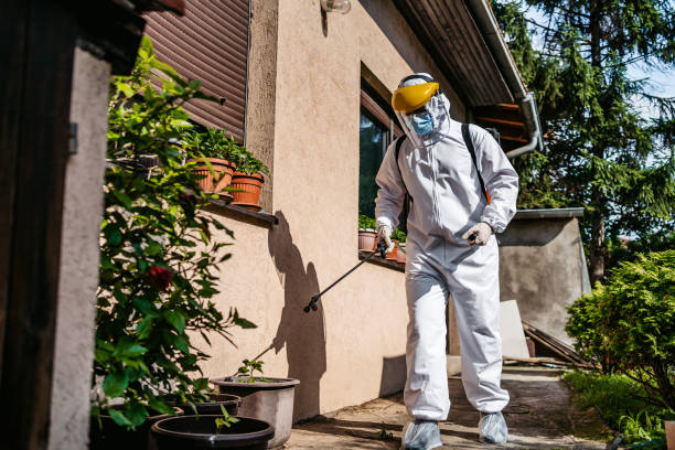 Best Spider Control Near Me  in Fairfield, IL