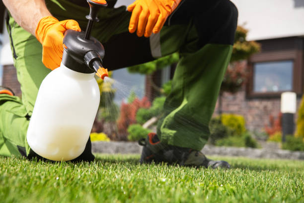 Best Pest Control for Homes  in Fairfield, IL