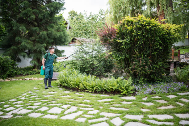 Best Local Pest Control Services  in Fairfield, IL
