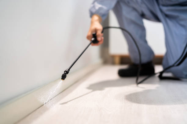 Best Best Pest Control Companies  in Fairfield, IL