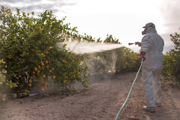 Best Bed Bug Extermination  in Fairfield, IL