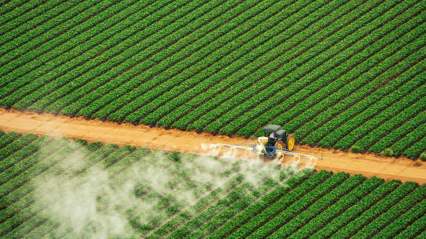 Pest Control Cost in Fairfield, IL