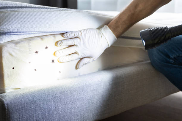 Best Rat Extermination Near Me  in Fairfield, IL