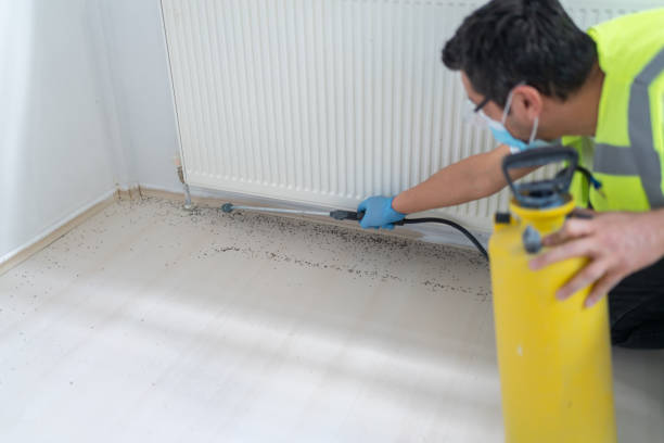 Best Wasp Removal Services  in Fairfield, IL