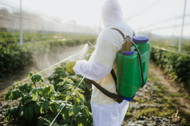 Best Pest Control Near Me  in Fairfield, IL